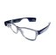 Envision Glasses